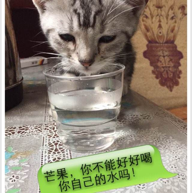 哪里能办理学位证